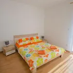 Sil Apartament *